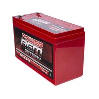 9.5Ah Alarm Battery Agm Sla Deep Cycle Ups 12 Volt Power Supply Toy Light 9Ah