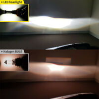 LIGHTFOX Pair Lumiled H8 6000LM LED Headlight Kit High/Low Beam Replace Xenon Halogen Globe
