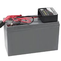 Projecta Car Battery Computer