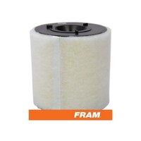 FRAM Air Filter CA10822 for AUDI A1 SKODA FABIA ROOMSTER VOLKSWAGEN POLO 6R