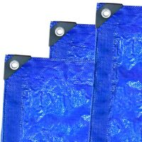 Loadmaster 90Gsm Blue Tarp With Reinforced Corners (8 x 10")